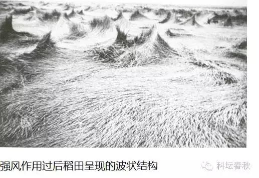 流体力学与深度学习,流体力学核心知识