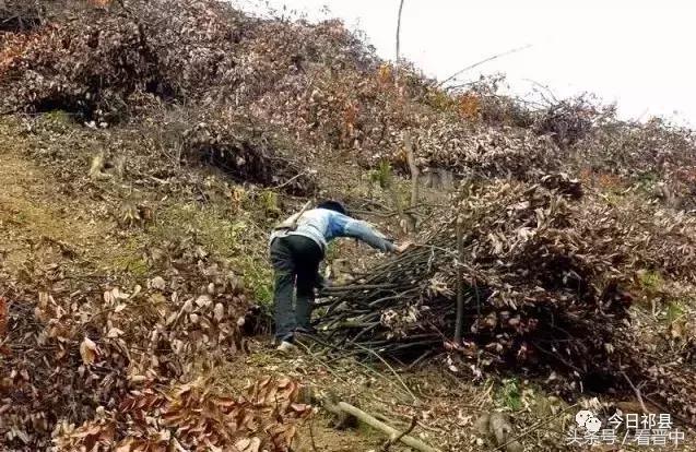 榆次老城童年回忆,榆次童年的味道
