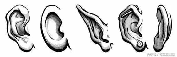 教100个零基础画画小白,零基础自学绘画入门书