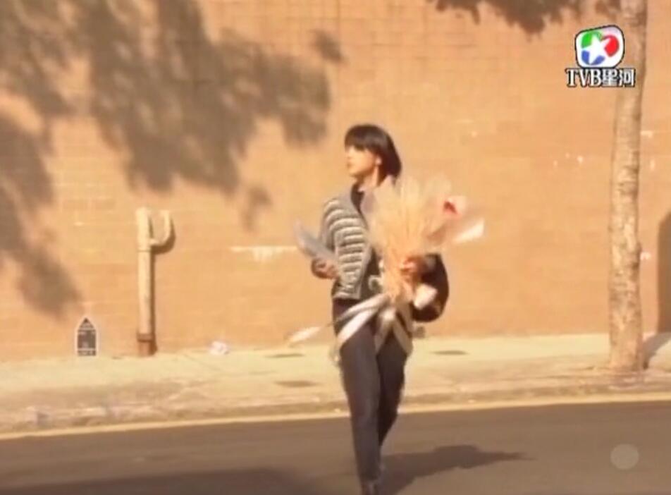 刑事侦缉档案3吕展眉杀爸爸,刑事侦缉档案第四部儿子被冤枉