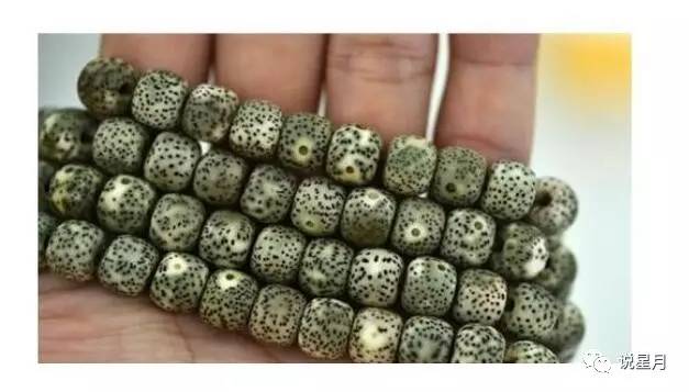 阴皮星月的由来,什么叫阴皮菩提子