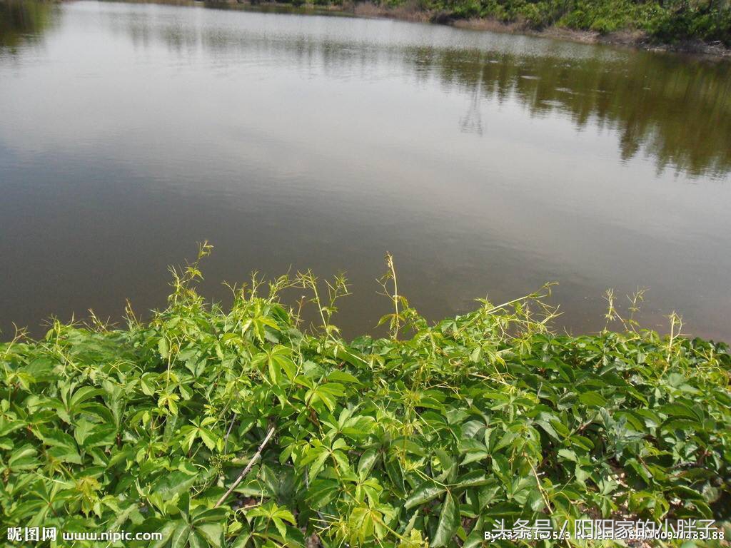 民间怪谈:老太太爬向草丛中的绣花鞋,被人拦住后,好生后怕