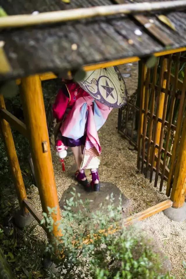 阴阳师神乐皮肤绯月蝶影,阴阳师神乐和银魂神乐