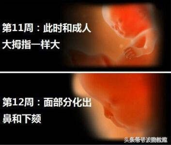 胎宝能听懂说话吗,胎宝听懂妈妈说话