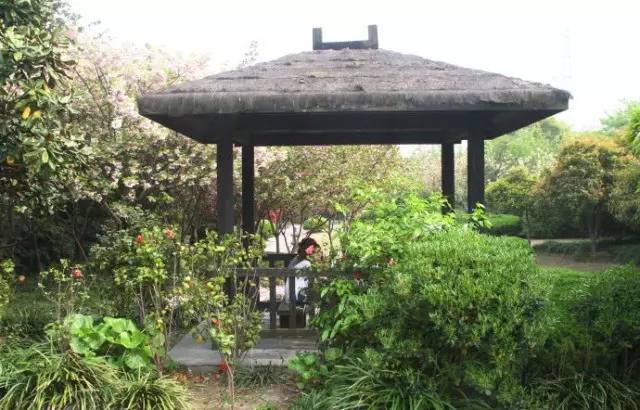 老夫妻上海一日游,上海老夫妻旅游路线攻略