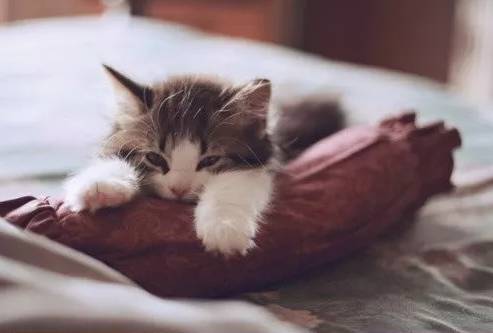 夏季怎样除身体湿气,夏天体内湿气容易加重吗