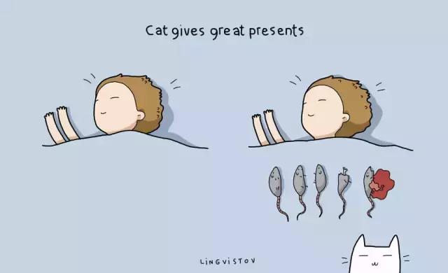 养猫的100个好处视频,养猫的人才懂的十个好处