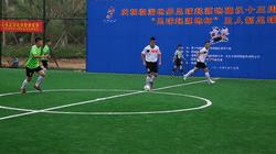 涓存穭甯曞叞韫撮灎灏忛晣,甯曞叞韫撮灎灏忛晣