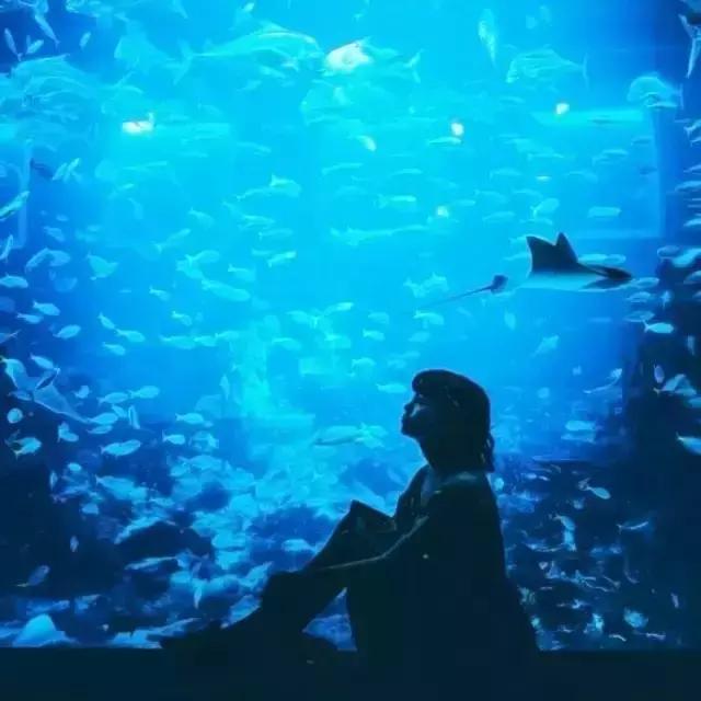 一拍照表情动作就扭曲,一拍照就紧张脸部僵硬