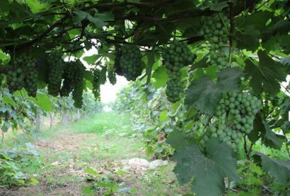 根除烦恼的6个经典方法,根除烦恼的秘诀全文