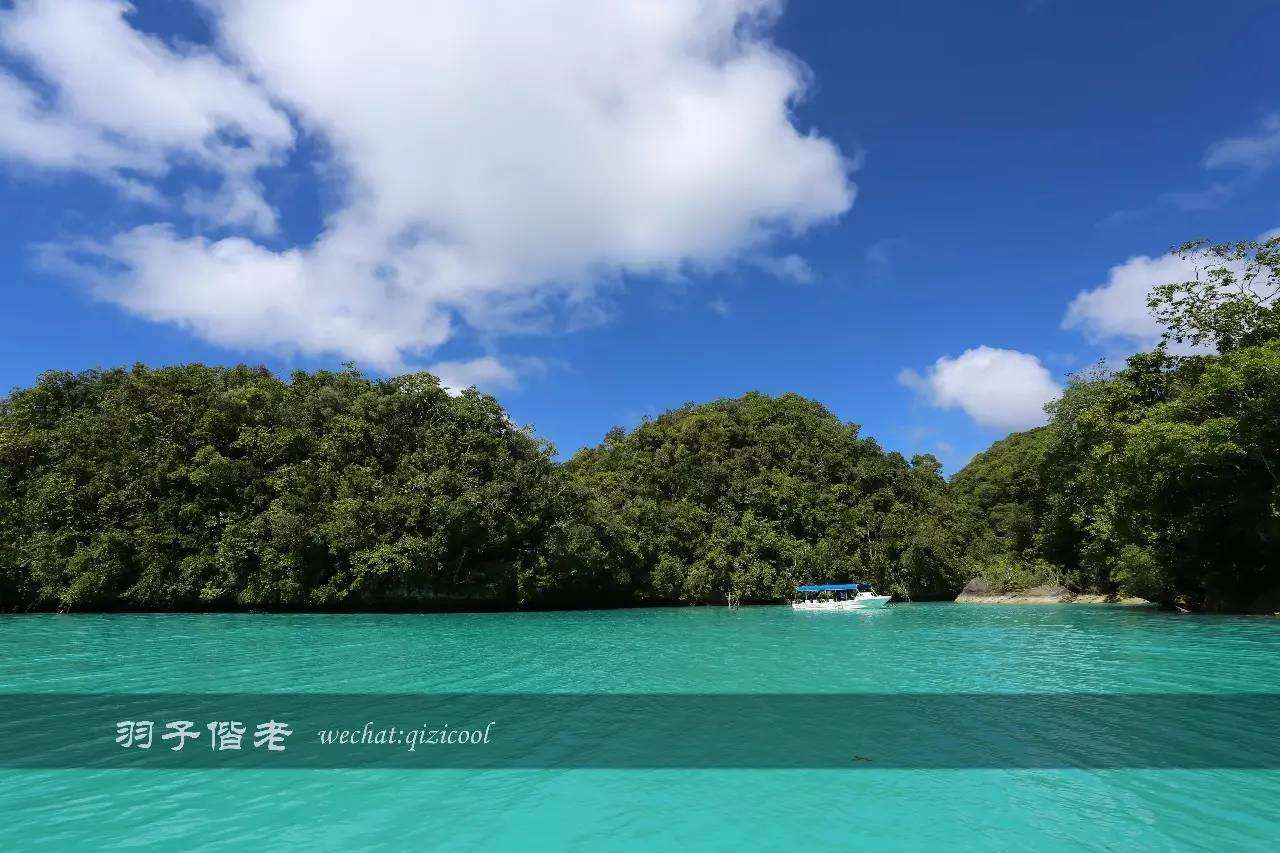 帕劳旅游发展的前景,去帕劳注意事项和必备品