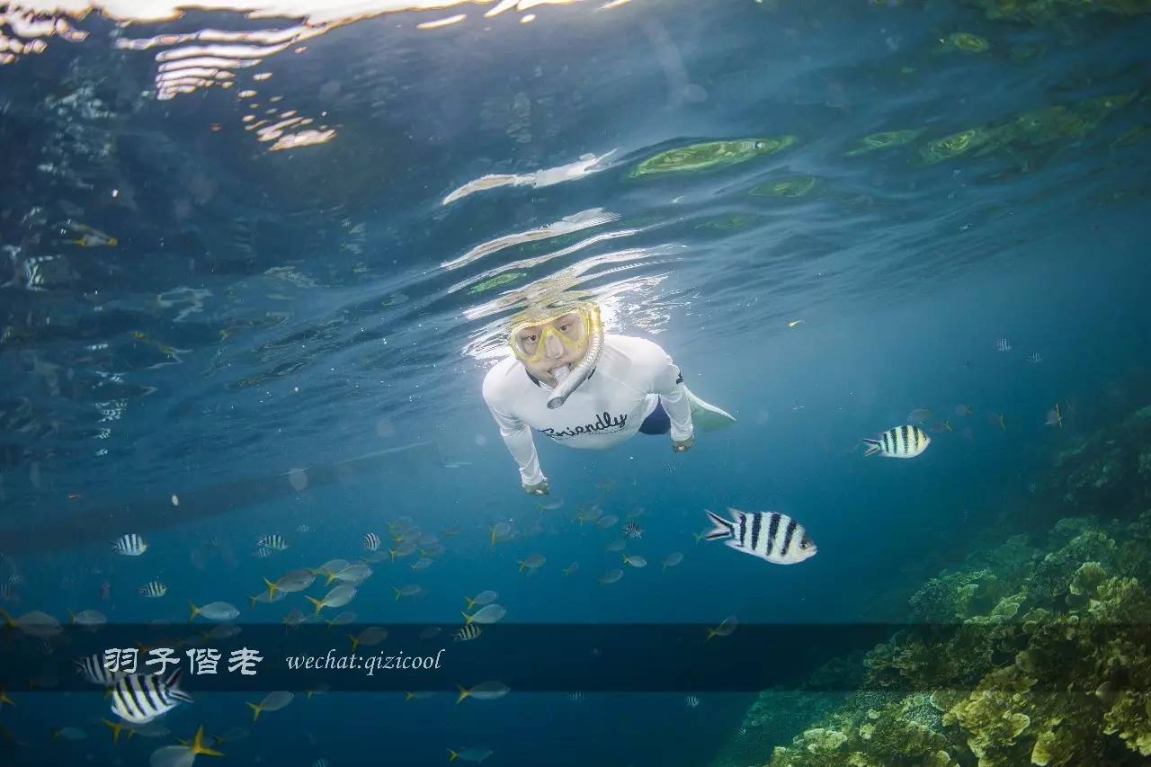 帕劳的旅游时长是多少,帕劳旅游找哪个旅行社