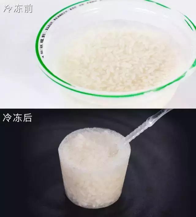 我把整个超市扔进了冷冻室，没想到还挺好吃