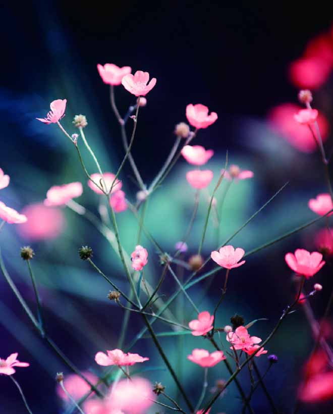 左岸时光，右岸回眸，在心里约定陪你到永远