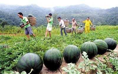 萌芽主题秀,萌芽带你吃喝玩乐