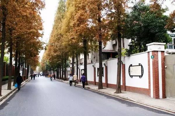 老夫妻上海一日游,上海老夫妻旅游路线攻略