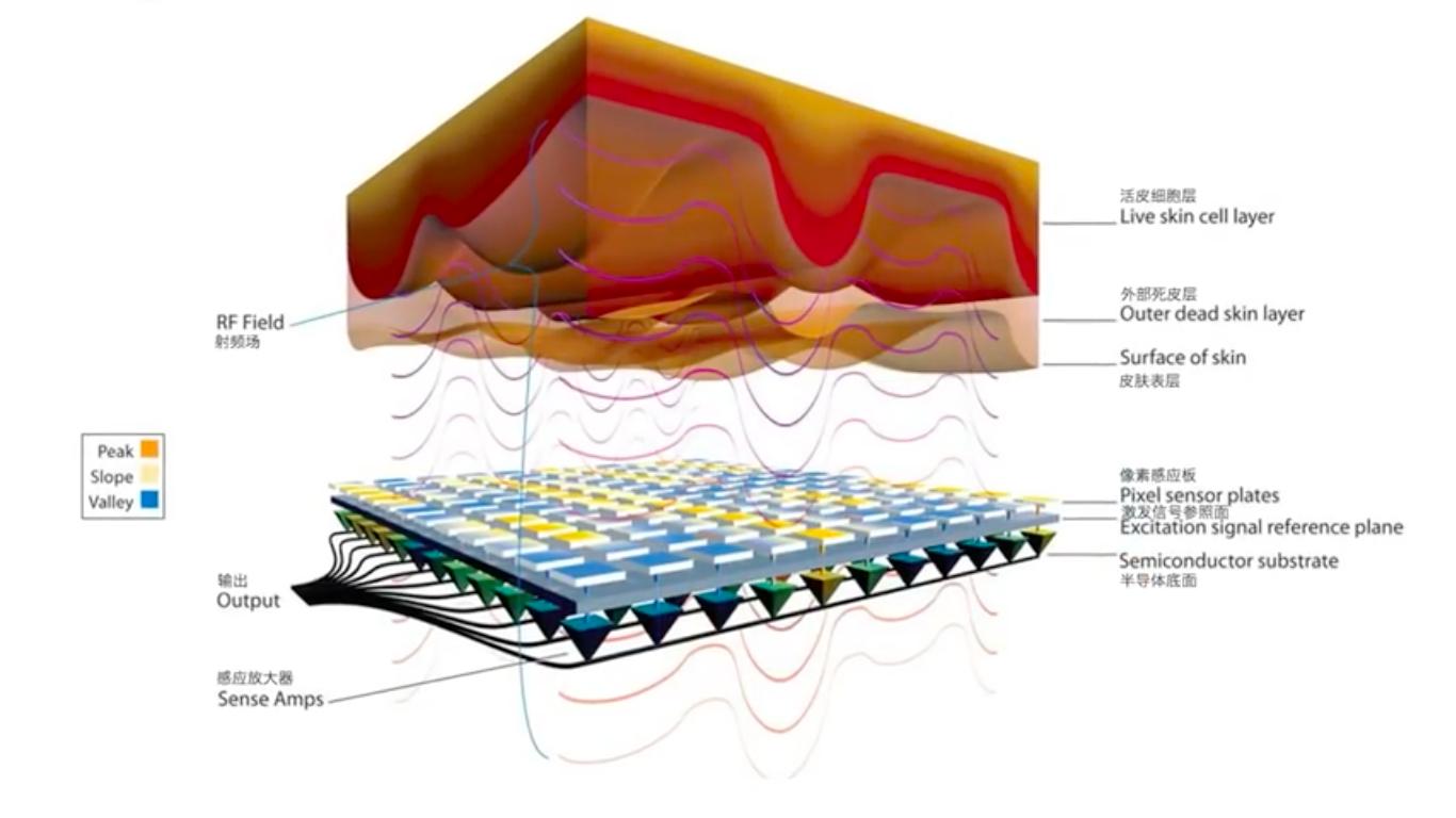 苹果那些二手无指纹的手机敢买吗,无指纹的苹果手机怎么来的