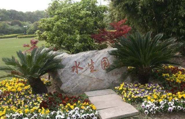 老夫妻上海一日游,上海老夫妻旅游路线攻略