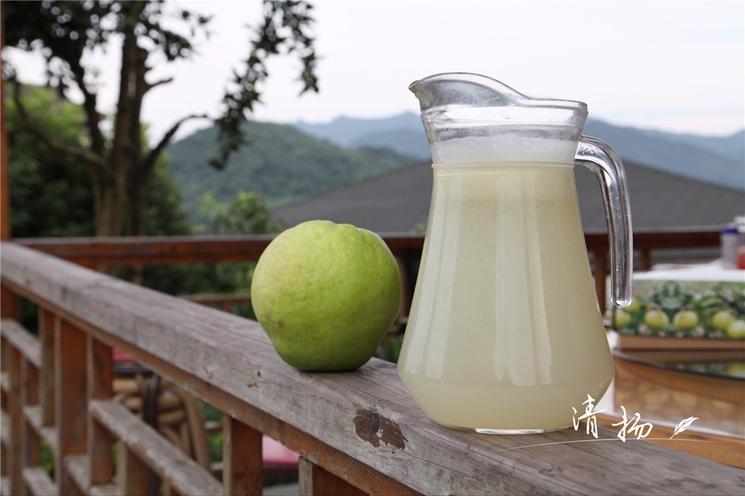 18年的田间记录，书写G20特供蜜梨的成长历程