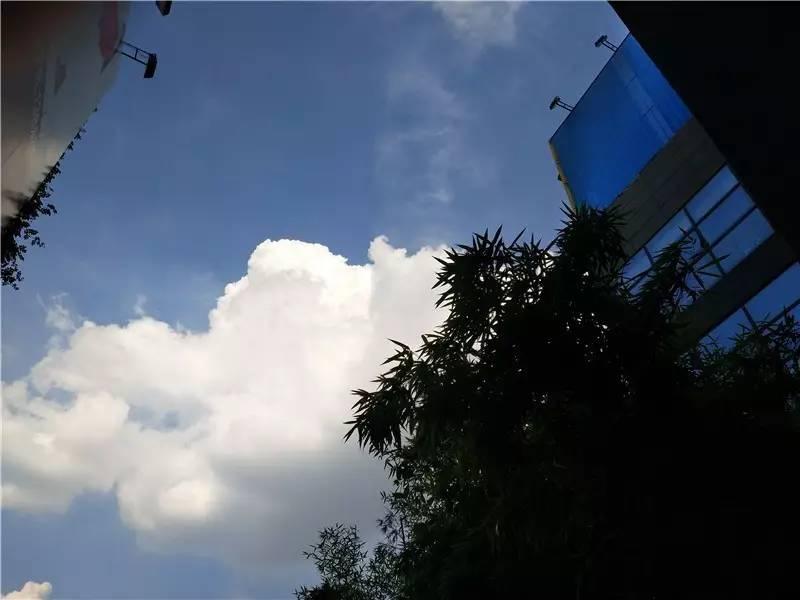 vivox9s测评方法,vivox9s测评视频