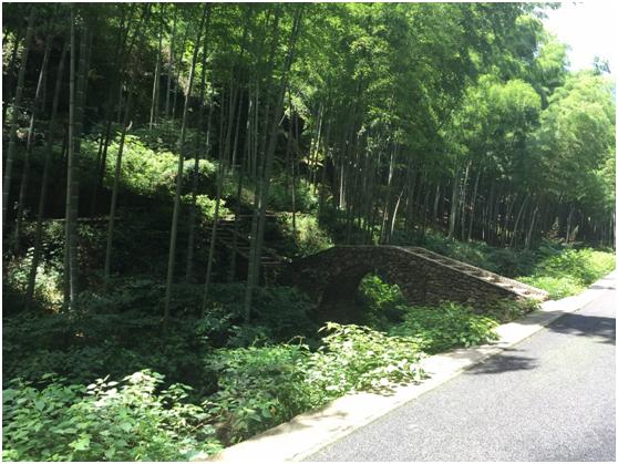 宜兴绿缘山庄度假酒店,宜兴绿缘山庄在什么地方