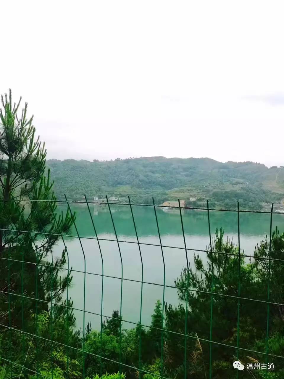 文成县珊溪水库地图,正宗文成珊溪水库有机鱼