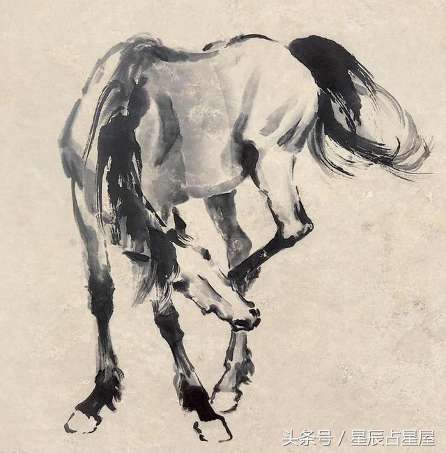 生肖马运势2021情感运势,生肖马运势2024年运势化解