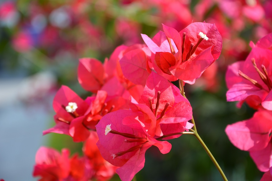 国投钦州发电有限公司的图片,广西钦州国投钦州发电有限公司