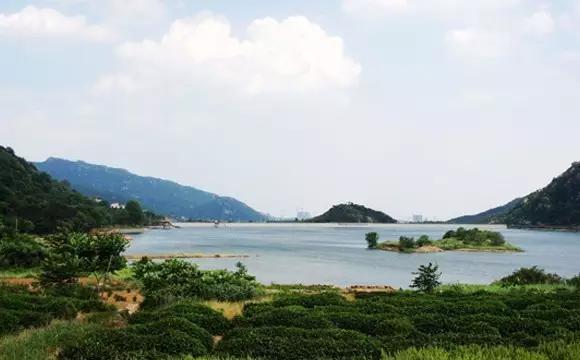 连云港旅游年卡哪些景点可以用呢,连云港旅游年卡在哪里办理