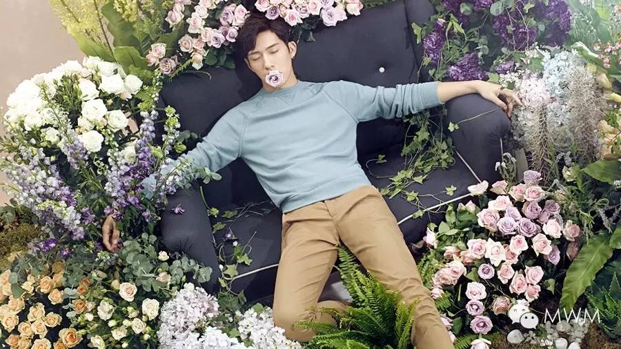 倪妮羡慕别人的爱情,倪妮和井柏然谈多久