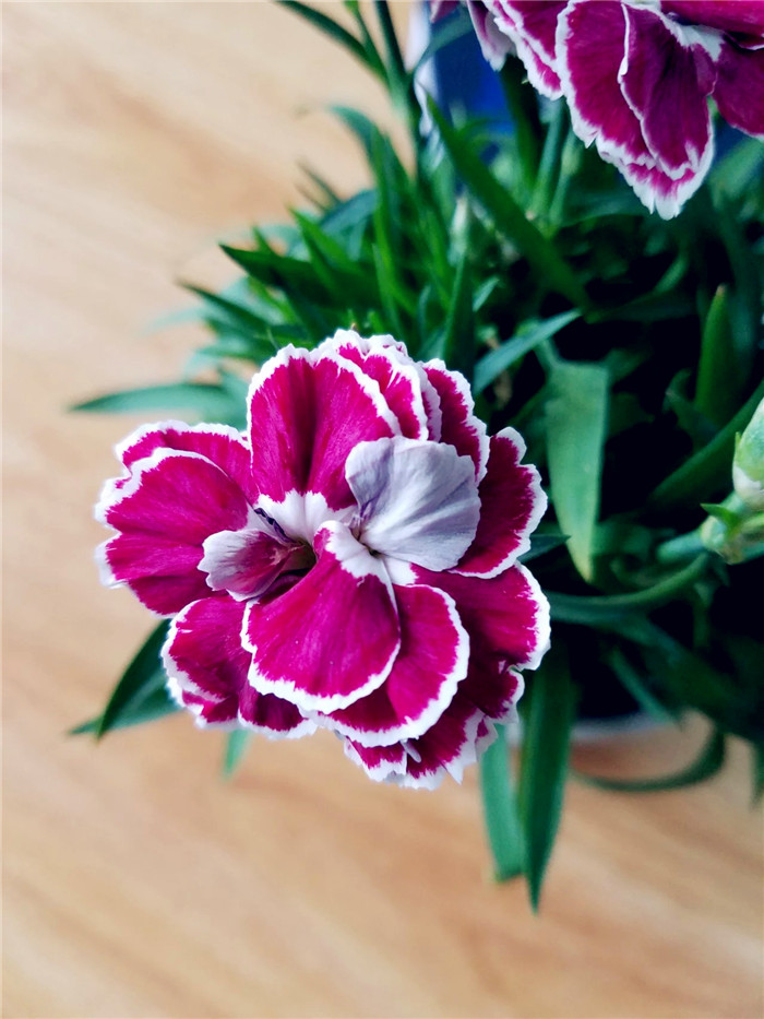 三星s7edge国际版跟国行区别,三星s7edge港版什么时候更新8.0