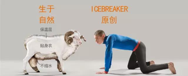 在户外运动中如何选择合适贴身的内衣？