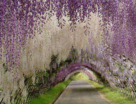 诗意的行走朗诵,诗意的行走散文