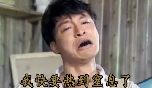 「陪你看新闻」有多热？黑人被晒黑直呼要回非洲避暑！