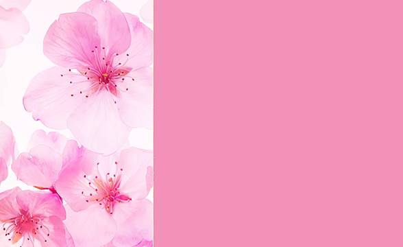 最好用的4支口红,最好用的6支口红