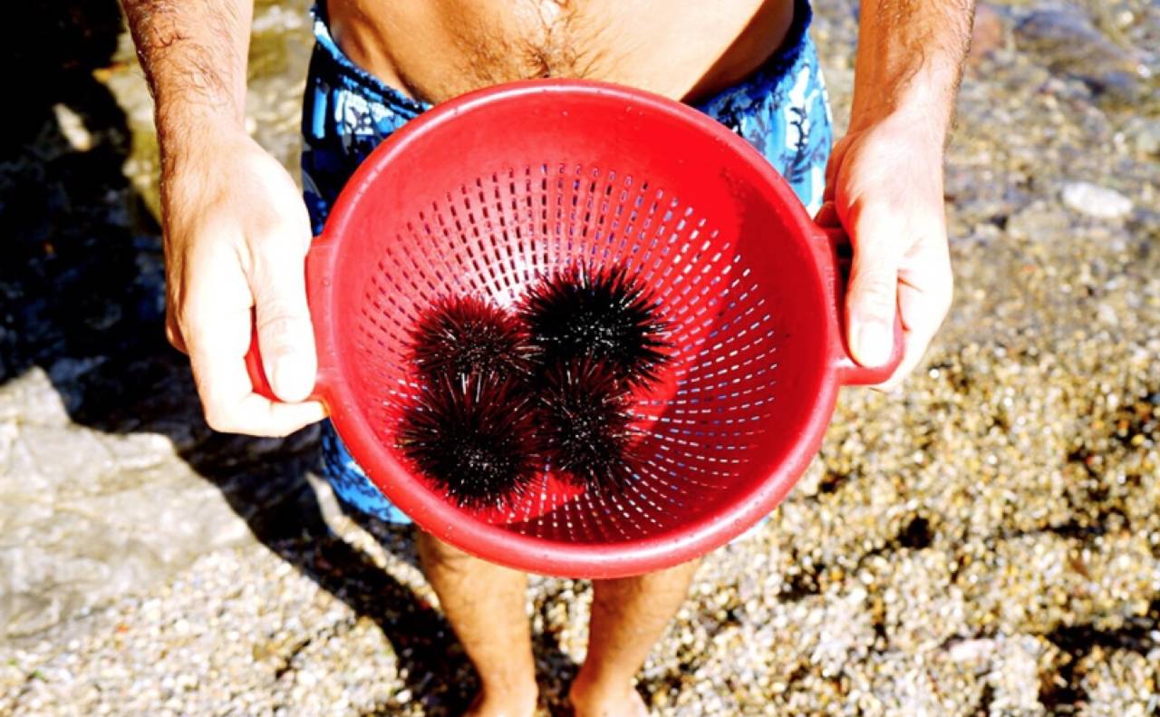 欧洲海边度假攻略,欧洲旅游十大骗人套路