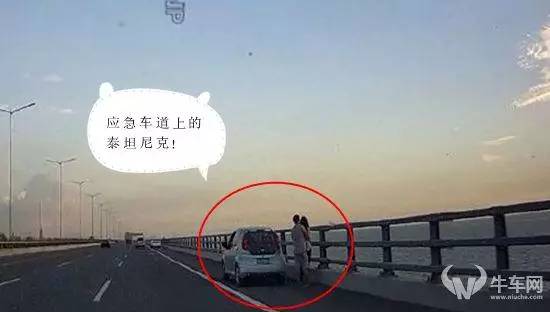 旅游客车有前途吗,旅游看风景最好的车