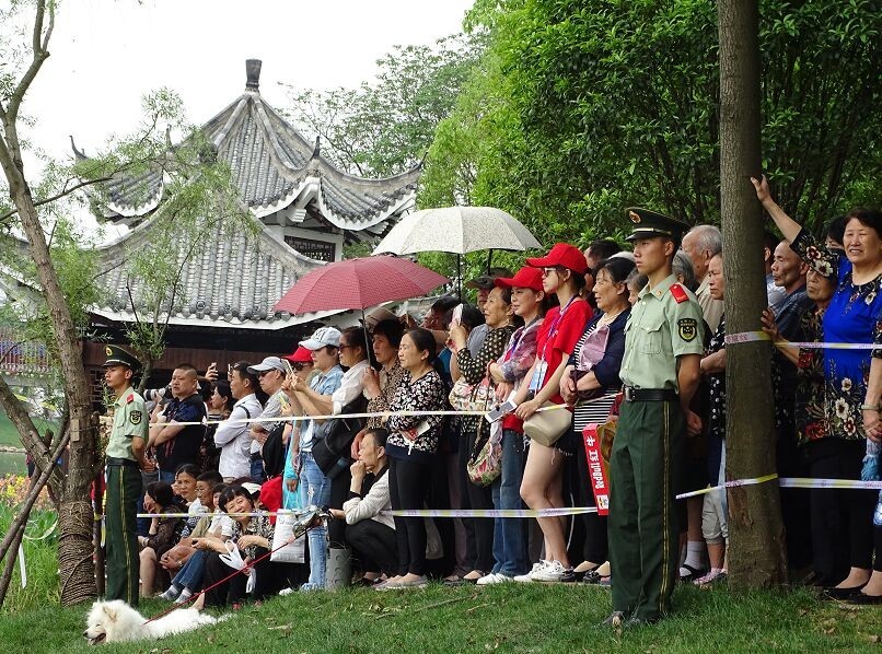 盘点国内龙舟比赛震撼场面一瞬间,中德龙舟赛