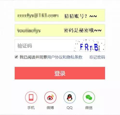 ios如何记住网站登录密码,网站上如何查看已登录的密码
