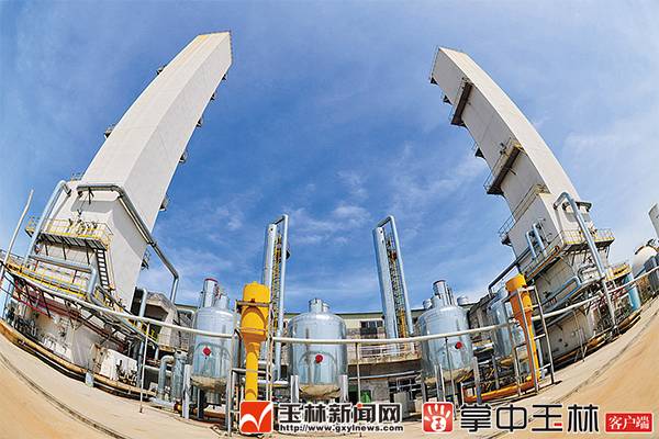 女子没吃早餐体内1000多颗结石,沈阳女子身体里取出400颗结石