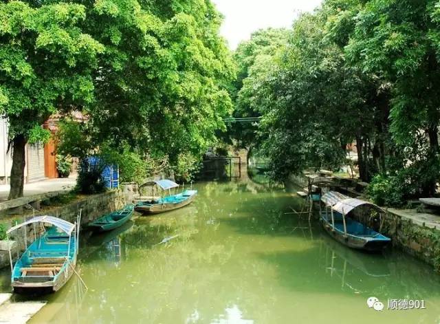 威虎山雪村入选中国最美村镇50强,全国最美县城评选结果