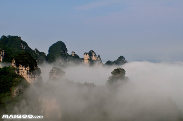 贵州值得一去的原生态村在哪里,贵州世界十大森林旅游胜地之一