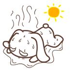 「城事」热浪滚滚仍坚守他们在浦东迎接着“烤”验→