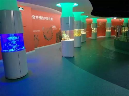 聊城海底世界节目时间表,聊城海底世界国庆