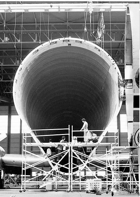 变异变形飞机,变异飞机鹦鹉