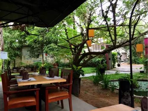 柬埔寨网红美食素食,柬埔寨美食小吃排行榜