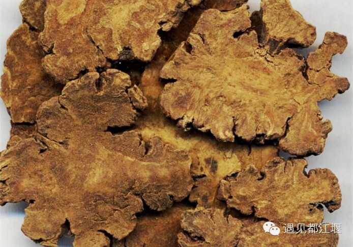 走去新丰骑车赏红枫泡温泉品美食,走温江田园去观赏美好生活