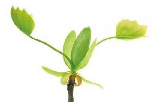 自然好书100本排行榜,自然好书