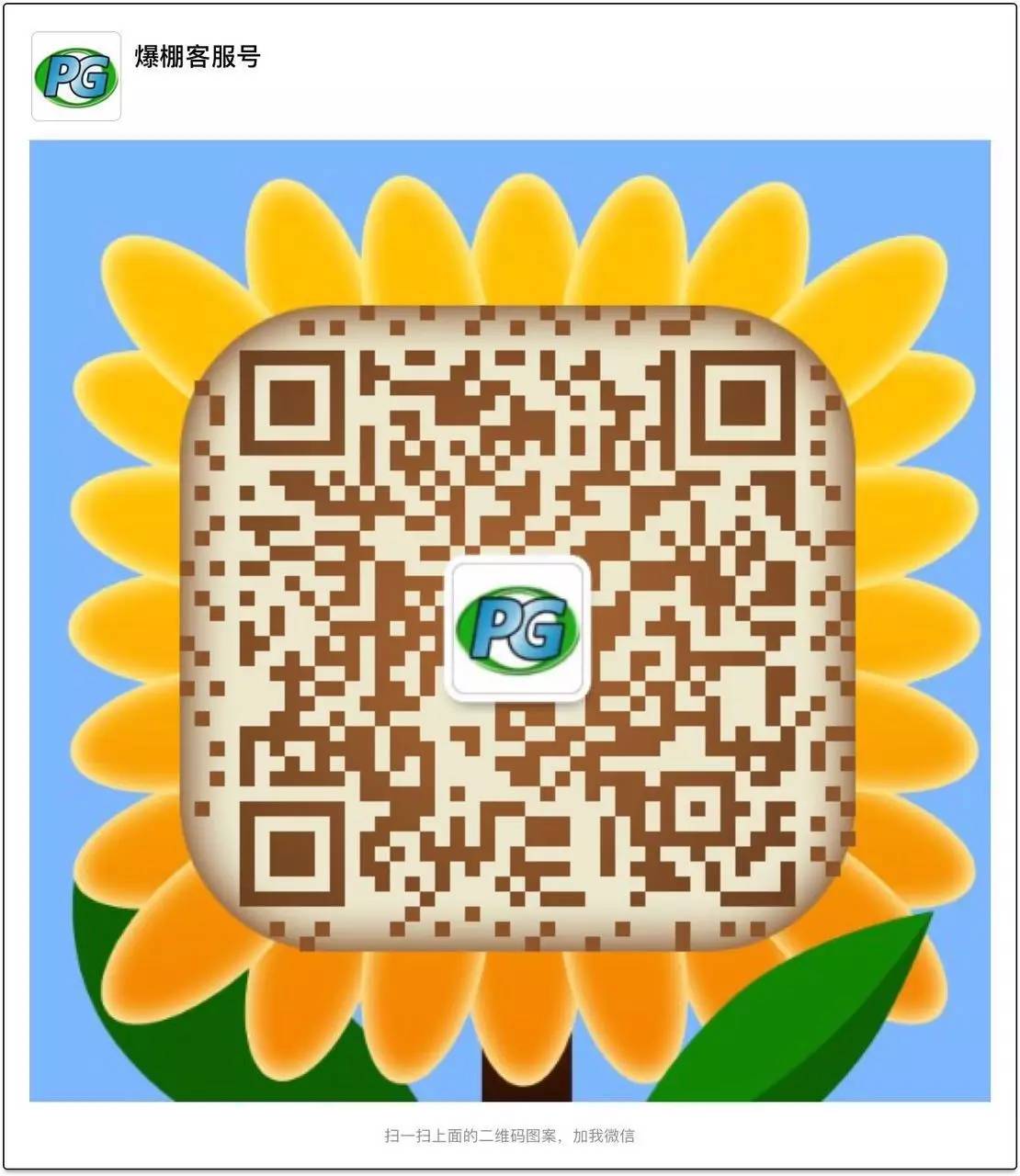 西甲球场巡礼之瓦伦西亚城市球场,西甲巡礼马德里竞技