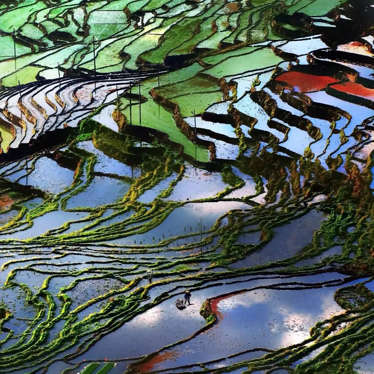 厉害了泉州全国前十,厉害了福建省